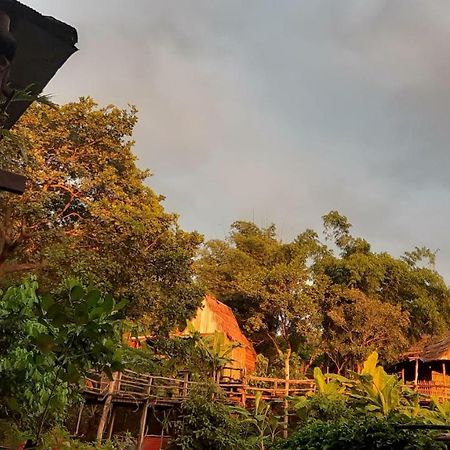 Tree Lodge بانلونغ المظهر الخارجي الصورة