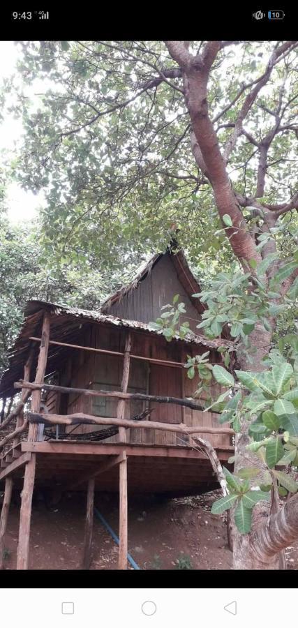 Tree Lodge بانلونغ المظهر الخارجي الصورة