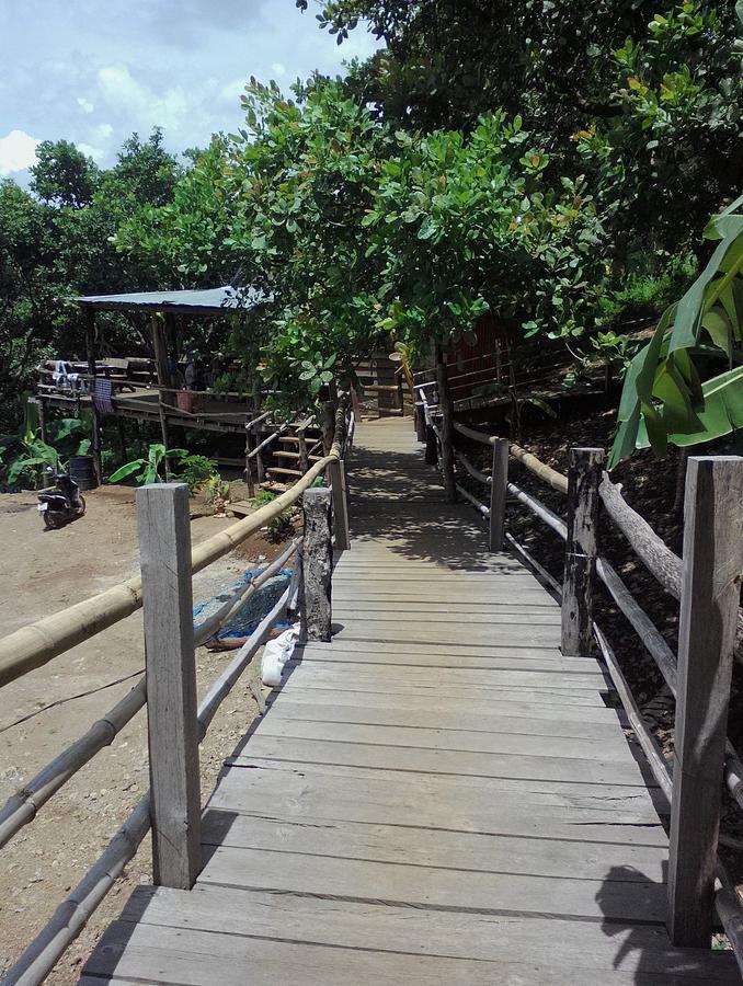 Tree Lodge بانلونغ المظهر الخارجي الصورة