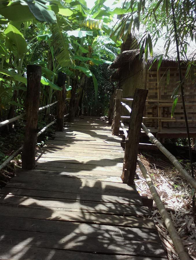 Tree Lodge بانلونغ المظهر الخارجي الصورة