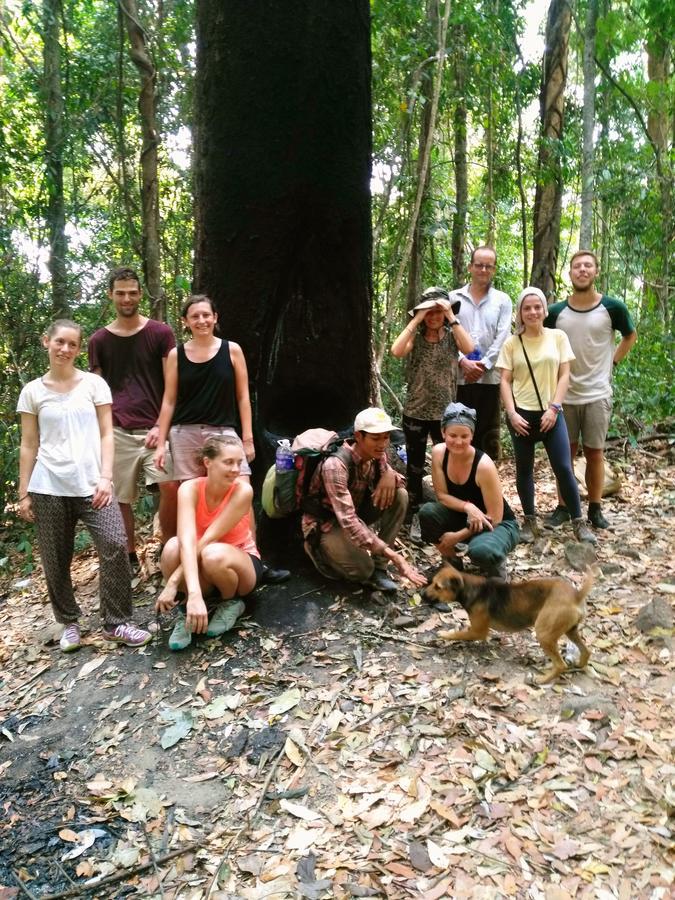 Tree Lodge بانلونغ المظهر الخارجي الصورة