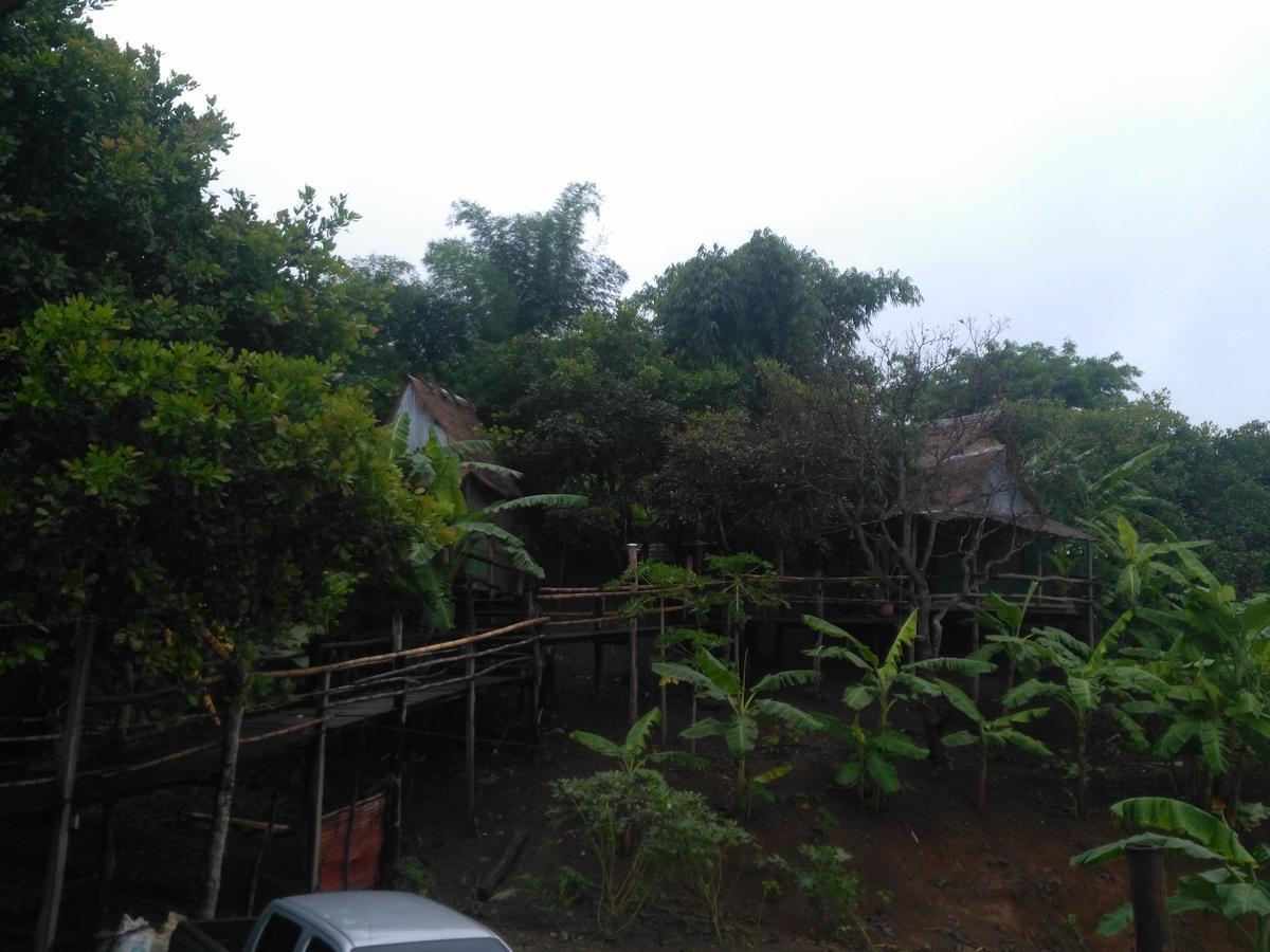 Tree Lodge بانلونغ المظهر الخارجي الصورة