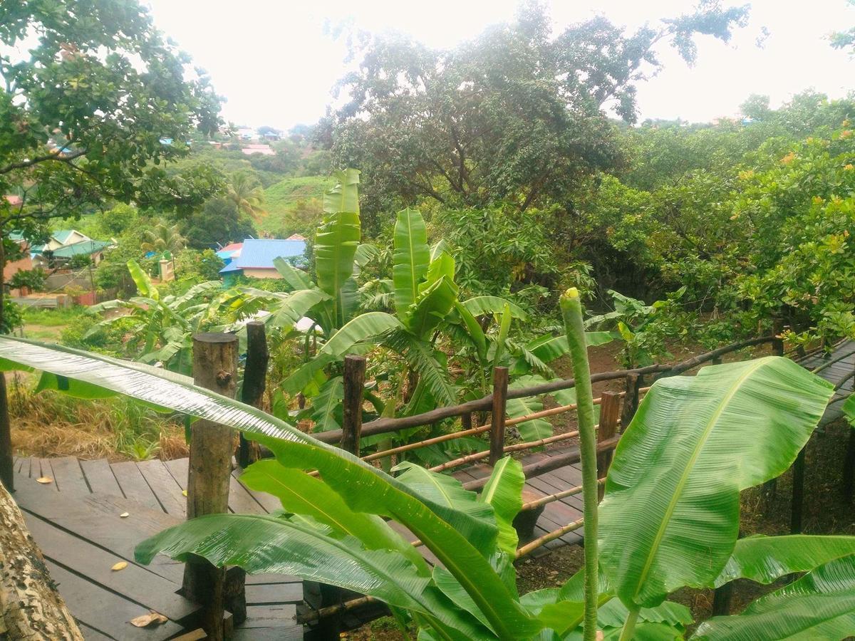 Tree Lodge بانلونغ المظهر الخارجي الصورة