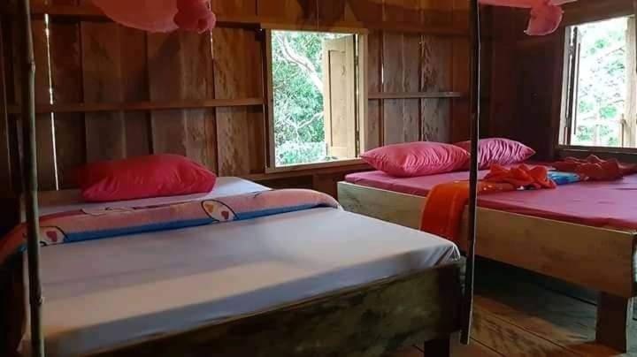 Tree Lodge بانلونغ المظهر الخارجي الصورة