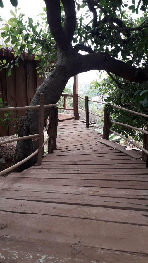 Tree Lodge بانلونغ المظهر الخارجي الصورة