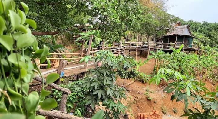 Tree Lodge بانلونغ المظهر الخارجي الصورة