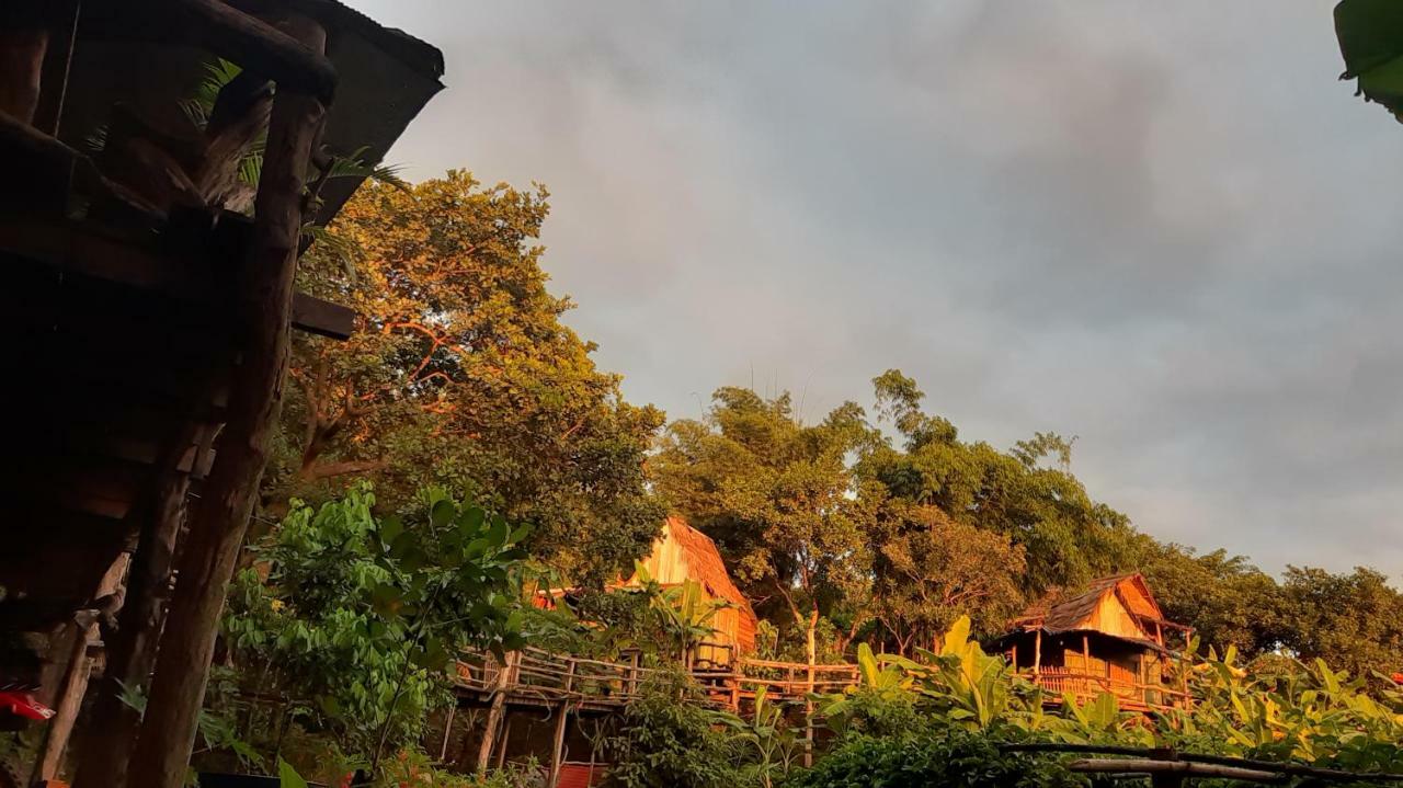 Tree Lodge بانلونغ المظهر الخارجي الصورة