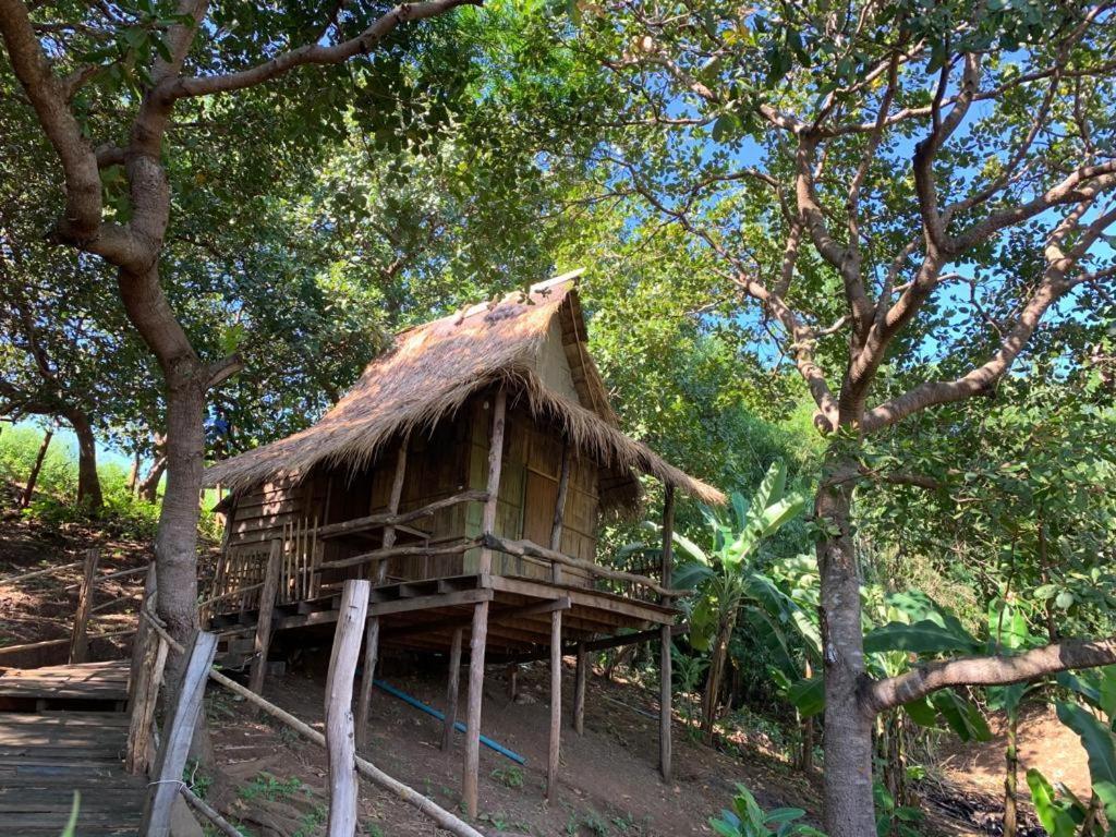 Tree Lodge بانلونغ المظهر الخارجي الصورة